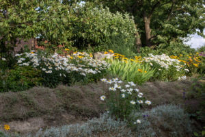 Trees and flowers on a planted slope Trees and flowers on a planted slope